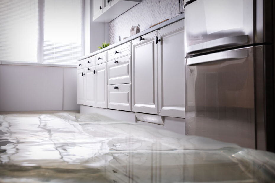 Insurance Navigation for Water Damage Claims: A Property Owner’s Survival Guide