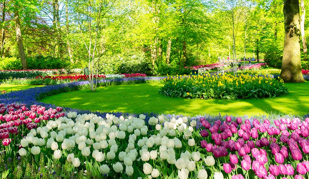 How to Attract Pollinators to Your Garden This Spring