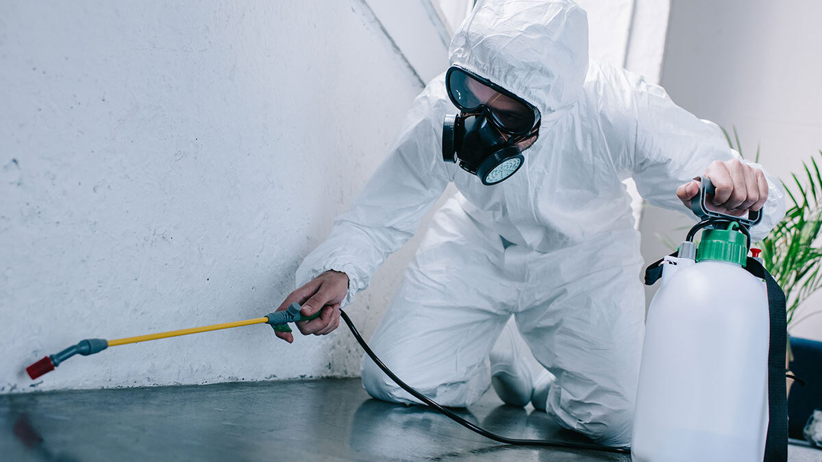 Seasonal Pest Control: How to Protect Your Home Year-Round